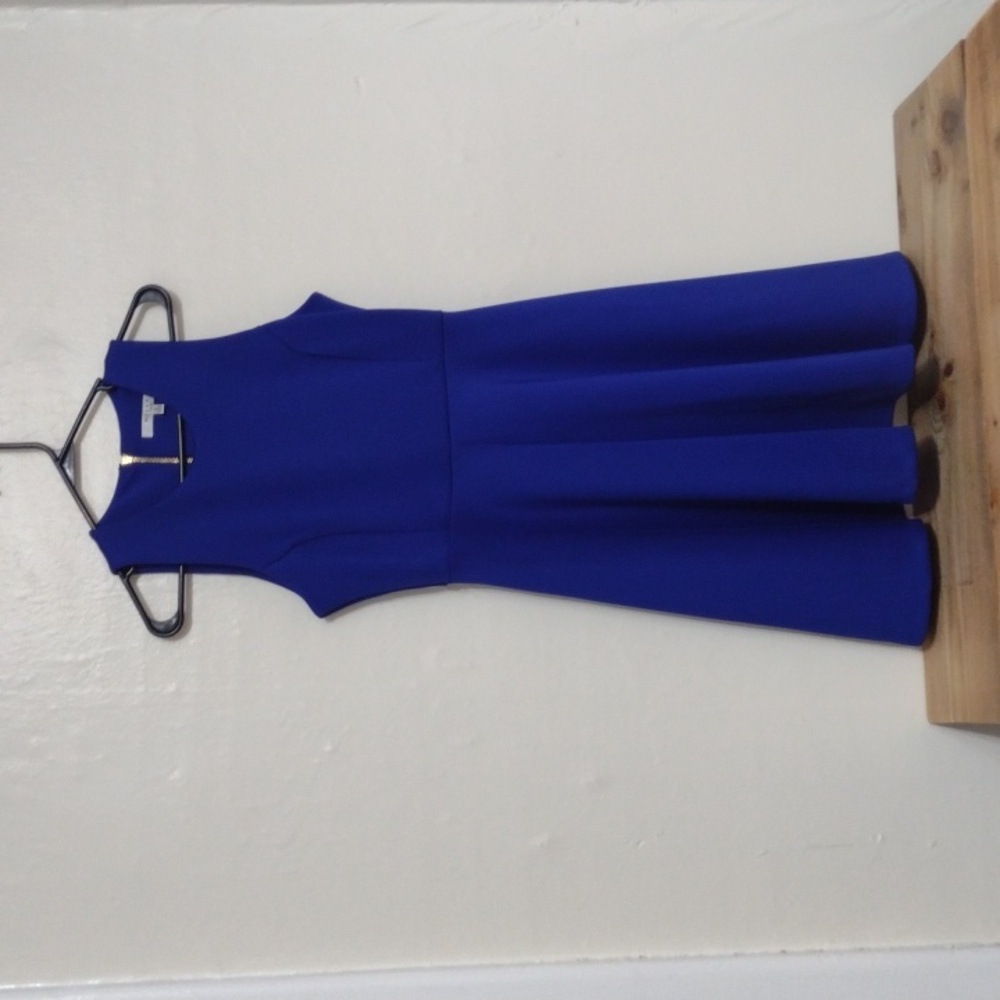 Milly Blue Fit & Flare Sleeveless Dress Exposed Goldtone Back Zip Size 8 - Picture 10 of 11